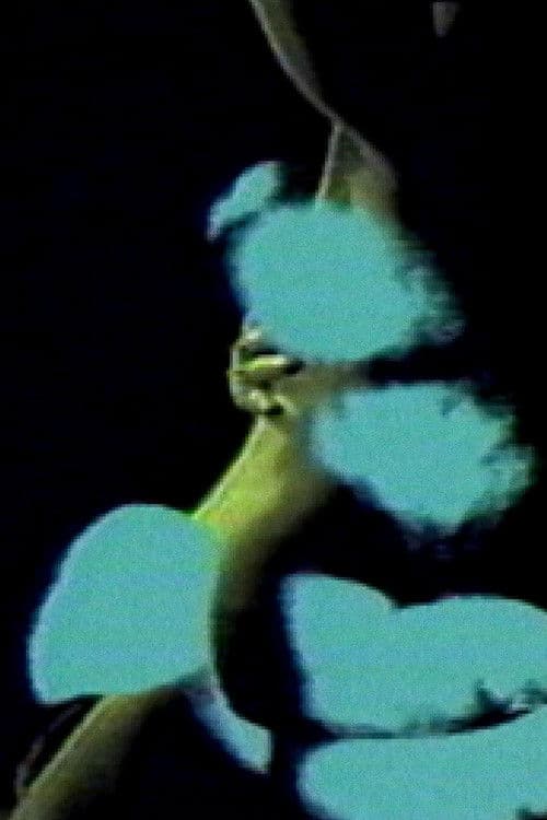 Letter to a Lover poster