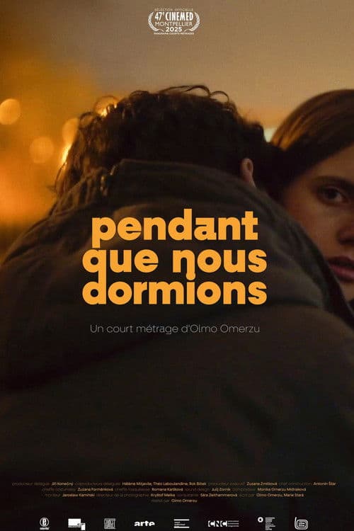 While We Slept poster