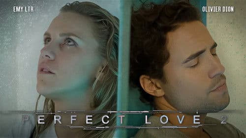 Perfect Love 2 poster