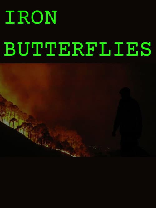 IRON BUTTERFLIES poster