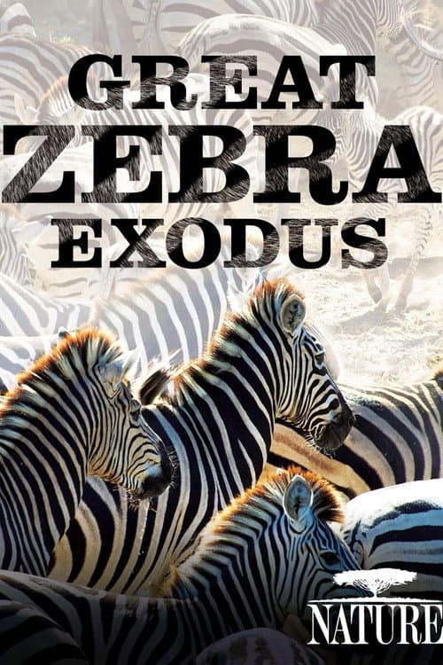 Nature: Great Zebra Exodus poster