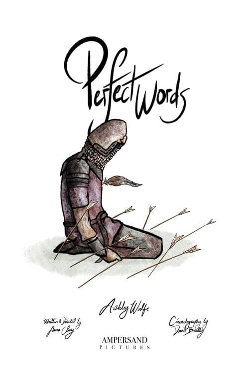 Perfect Words poster