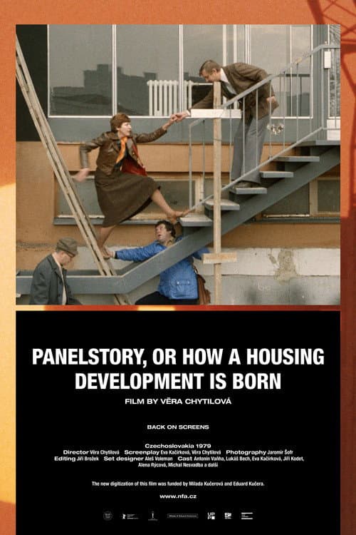 Panelstory or Birth of a Community poster