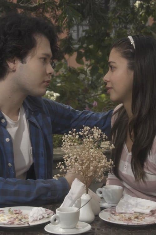 Manual do Amor para Jovens Desastrados poster