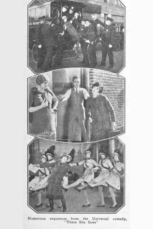 There She Goes poster