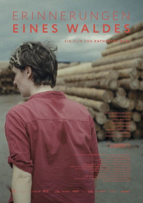 Erinnerungen eines Waldes poster