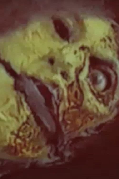 Full Disclosure: Government Cover-up on Alien Abduction poster