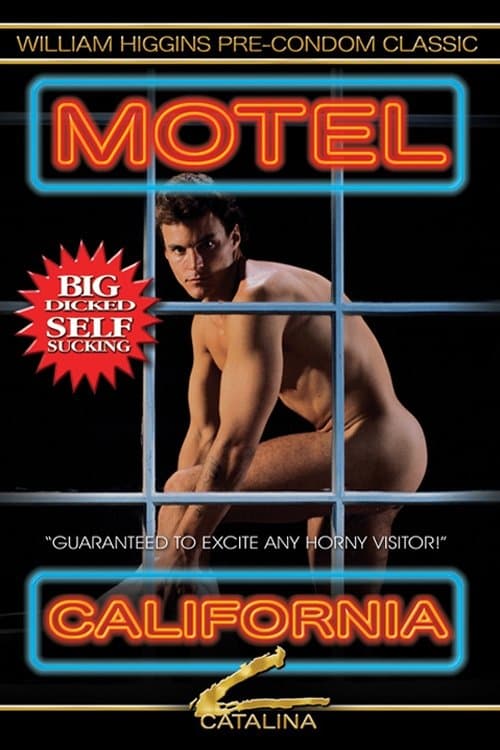 Motel California poster