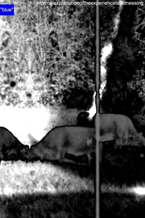 A Formal Explanation of the Experience of Witnessing "blue" poster