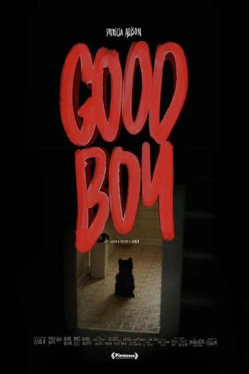 Good Boy poster