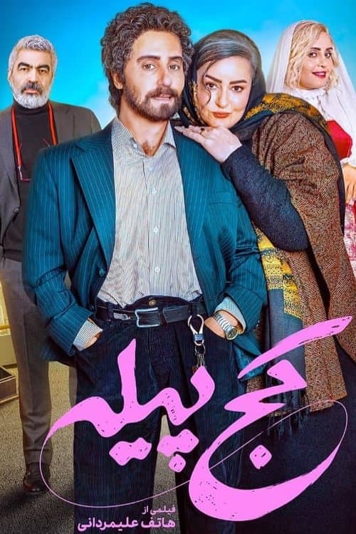 The Crooked Cocoon poster