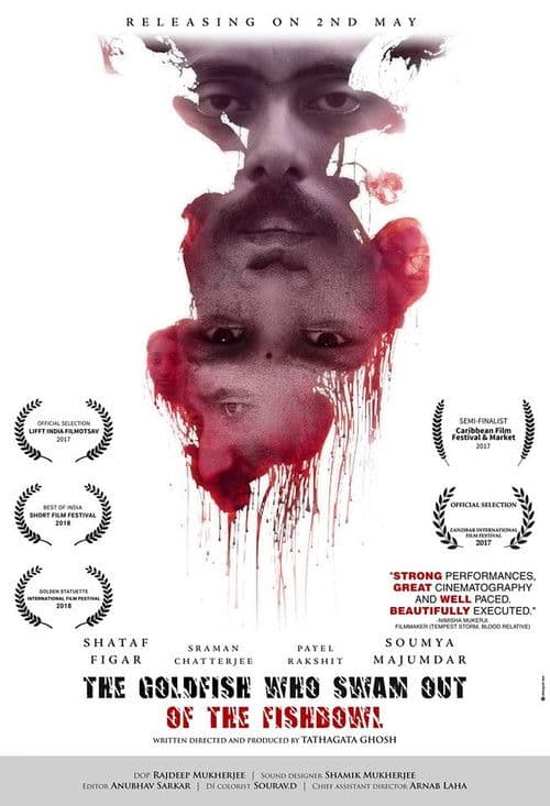 The Goldfish Who Swam Out of the Fish poster