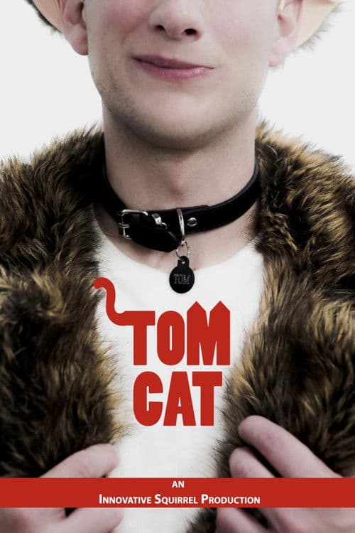 Tom Cat poster