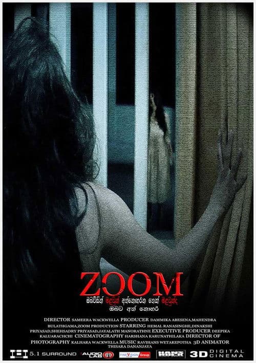 ZOOM poster