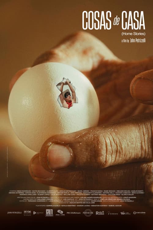 Home Stories poster