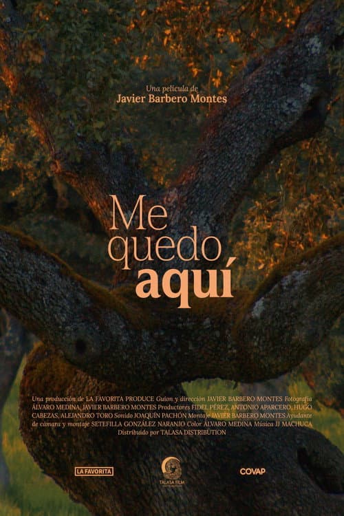Me quedo aquí poster
