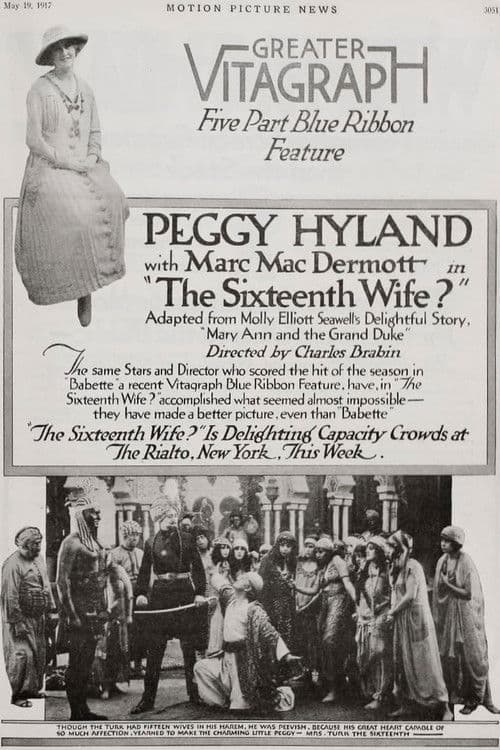 The Sixteenth Wife poster