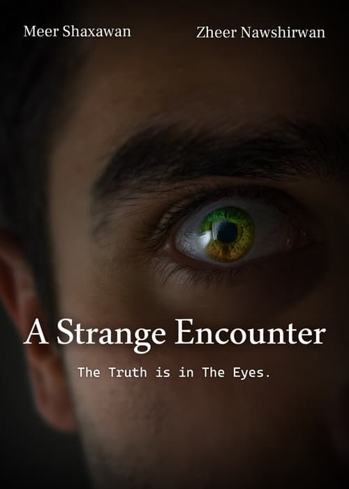 A strange encounter poster
