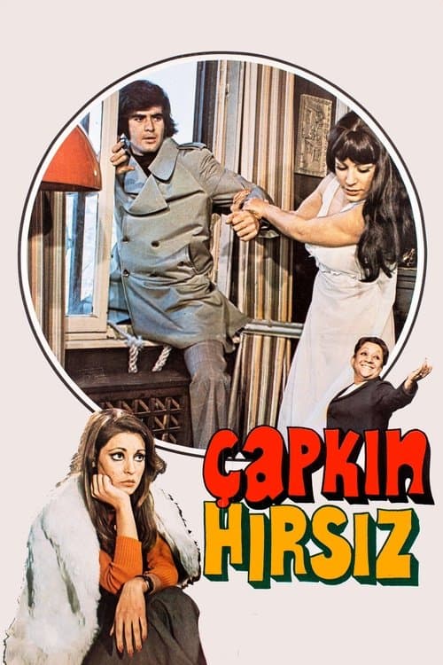 Çapkın Hırsız poster