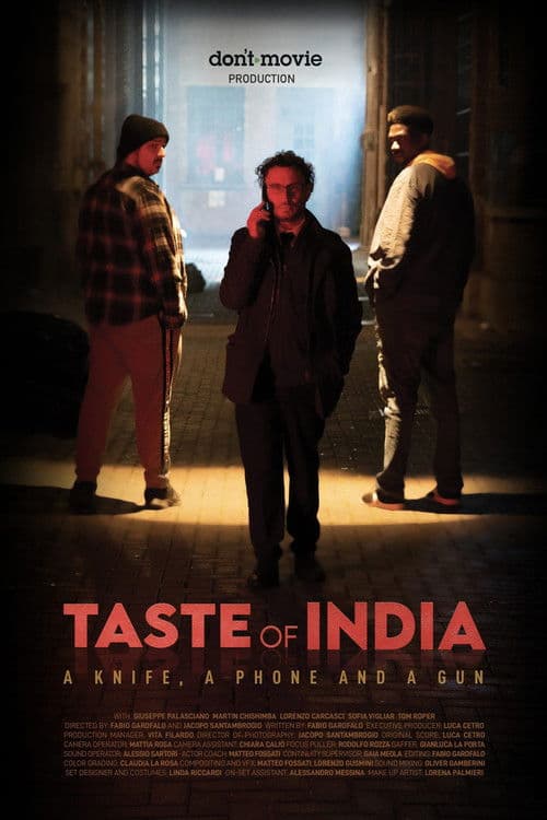 Taste of India poster