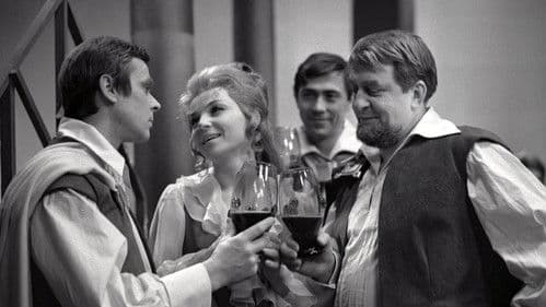 O statečném Petrovi poster