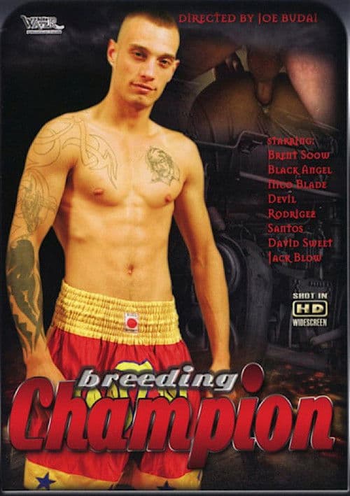 Breeding Champion poster