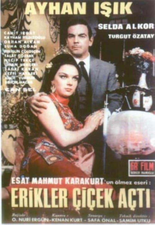 Erikler Çiçek Açtı poster