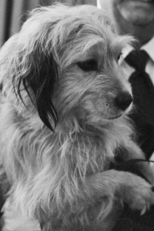 Benjean profile photo