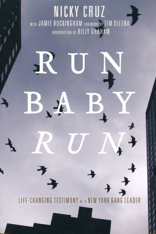 Run Baby Run poster