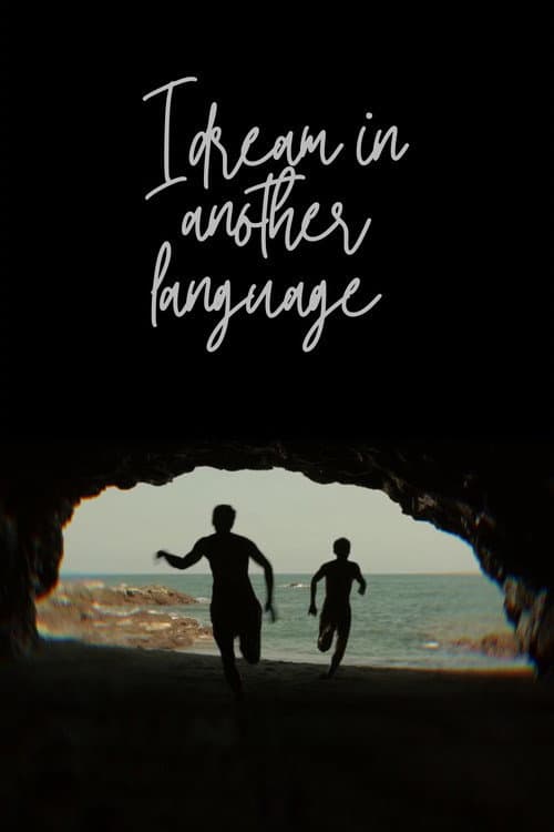 I Dream in Another Language poster