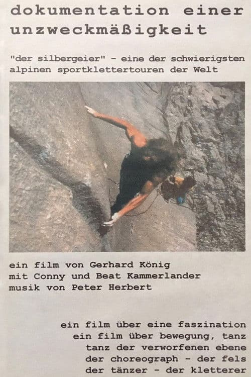 Dokumentation einer Unzweckmäßigkeit poster