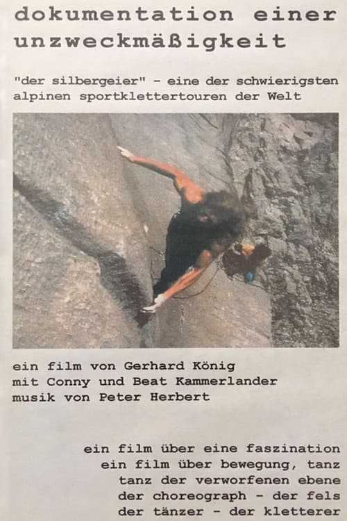 Dokumentation einer Unzweckmäßigkeit poster