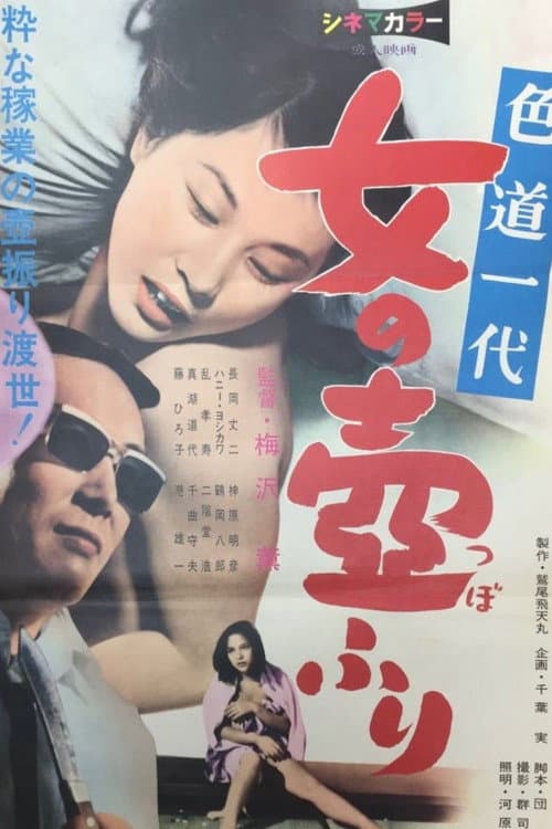 A Life of Erotic Pleasure: The Female Dice-Shaker poster