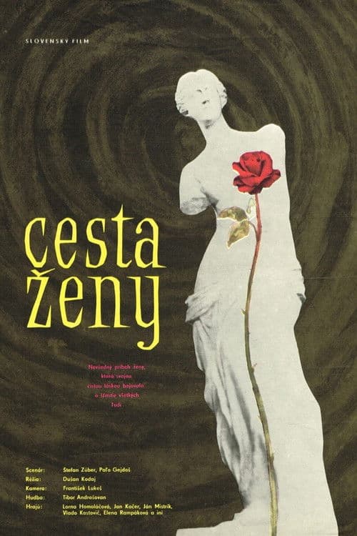 Cesta ženy poster