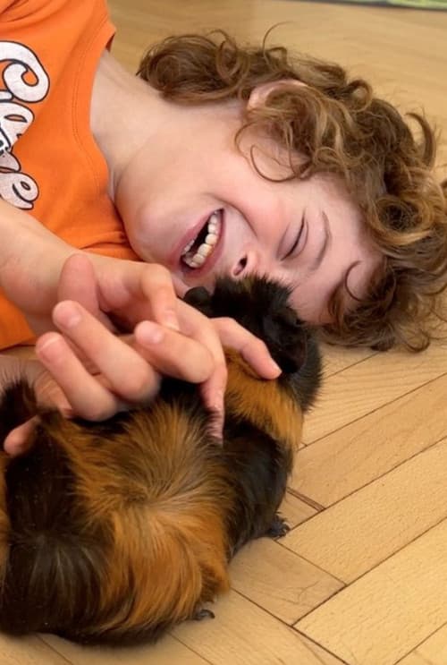 Adventures of a Real Samurai in the World of Disasters poster