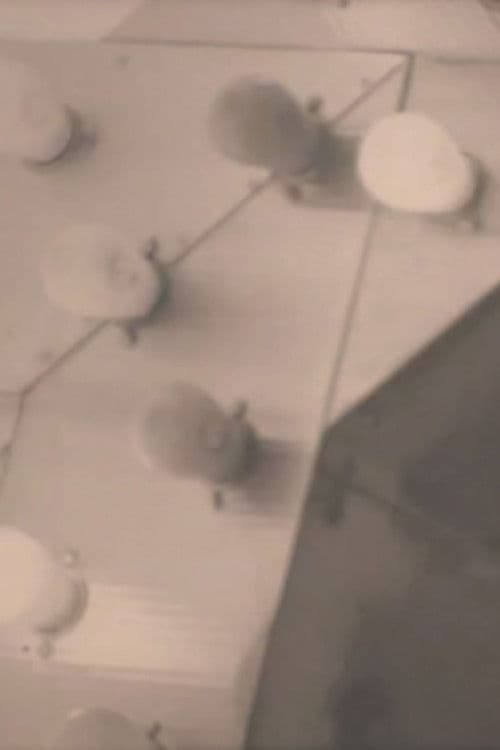 Notes on the Buffalo Conference: “Autobiography in American Independent Cinema” poster