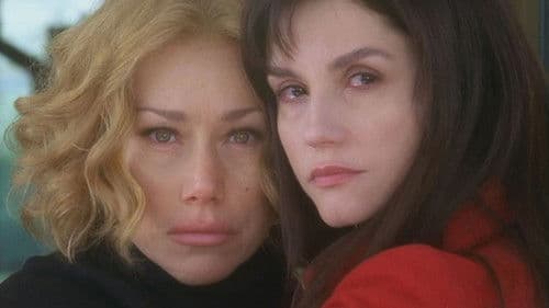 I colori della vita poster