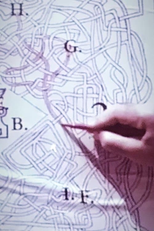 The Pink Biennal poster