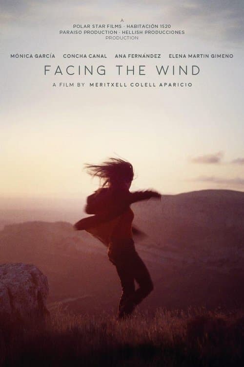 Facing the Wind poster