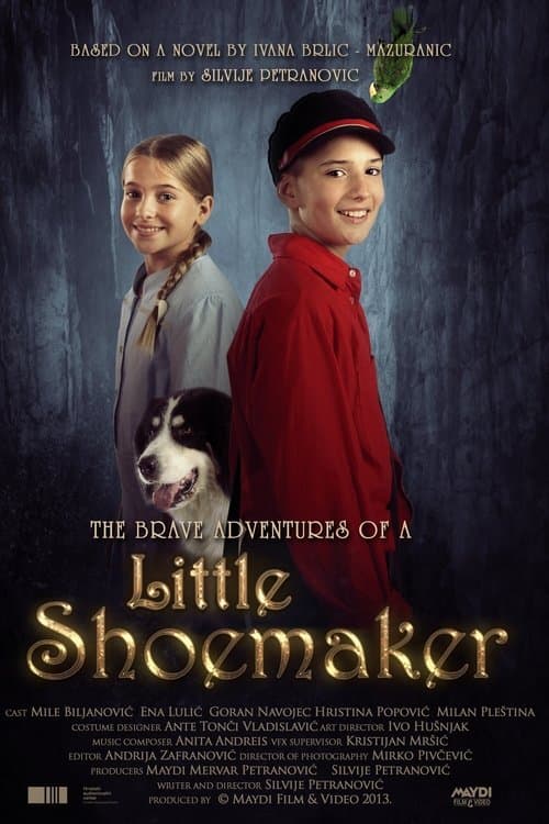 The Brave Adventures of a Little Shoemaker poster
