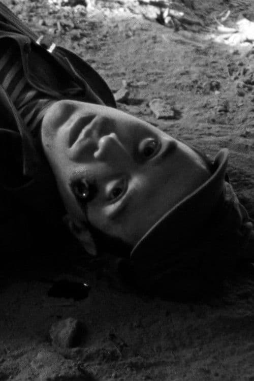 Andrés Moreno Grande profile photo