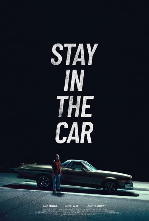 Stay in the car poster