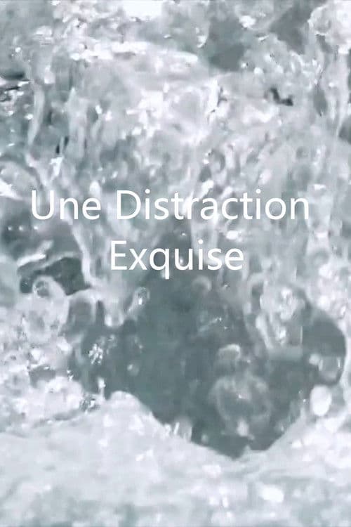 Une distraction exquise poster