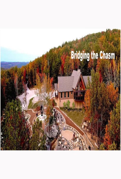 Bridging the Chasm poster