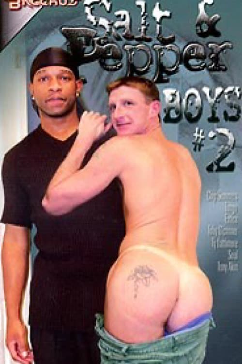 Salt & Pepper Boys 2 poster