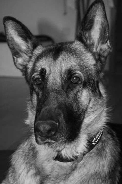 Excellent profile photo