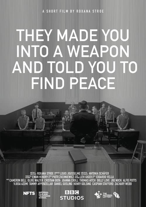 They Made You into a Weapon and Told You to Find Peace poster