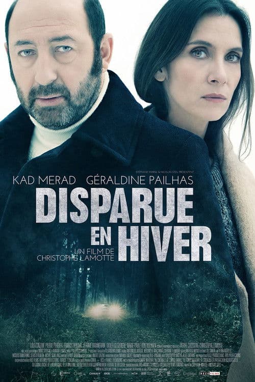 Disappeared in Winter poster