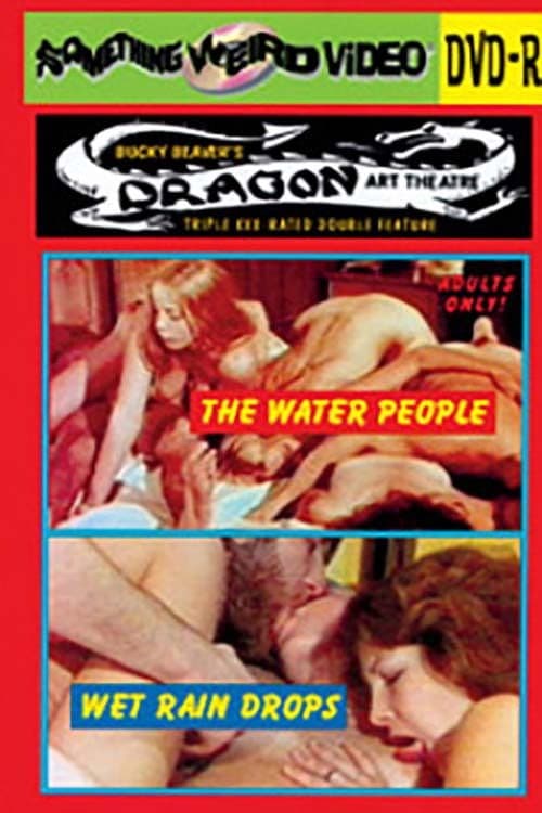 Wet Rain Drops poster