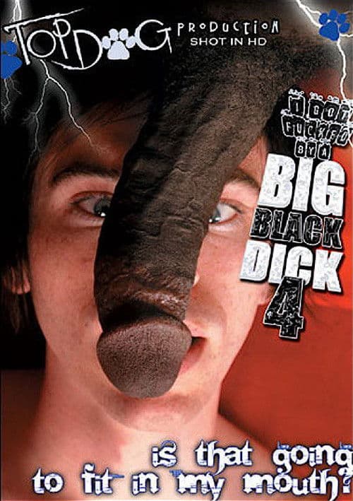 I Got Fucked by a Big Black Dick 4 poster